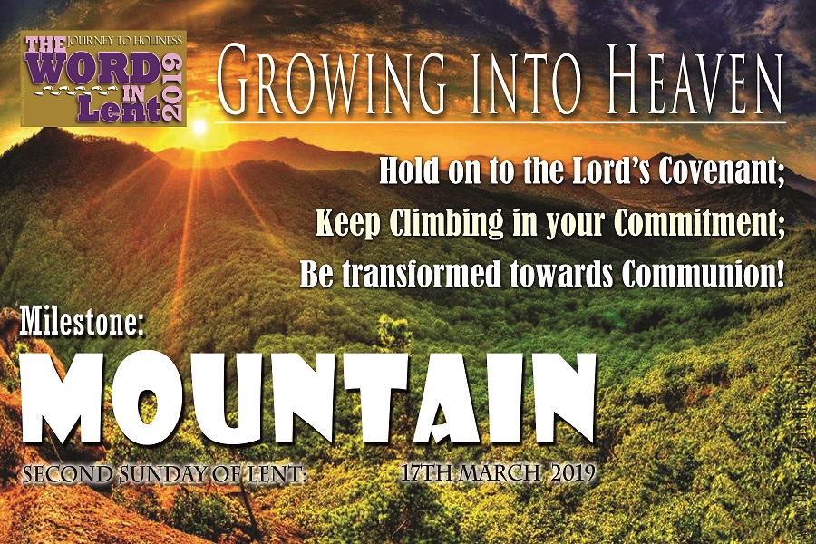 Homily for Youth: Holiness - Growing into Heaven - Indian Catholic Matters