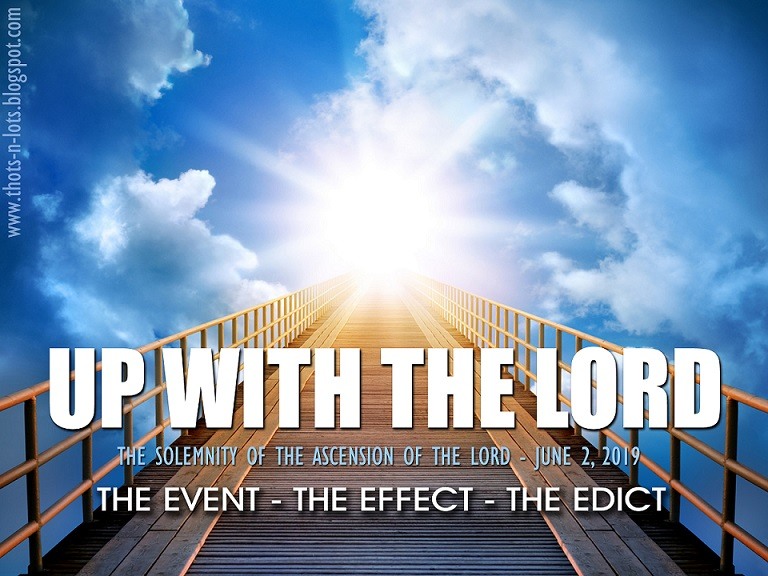 Homily for Youth: Up With the Lord - Indian Catholic Matters