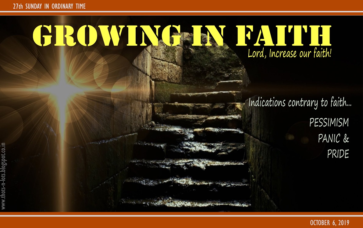 Homily for Youth: Growing in Faith - Indian Catholic Matters