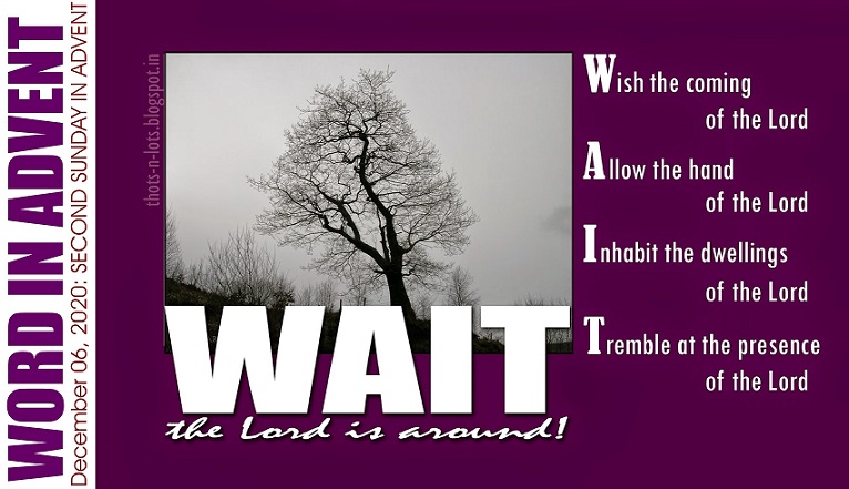 Homily for Youth: Prepare the Way! - Indian Catholic Matters