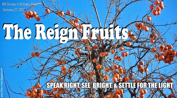 Homily for Youth: The Reign Fruits - Indian Catholic Matters